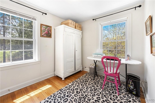 422 Salt Springs Rd, Manlius, NY 13066 - home office with light wood-style flooring and baseboards