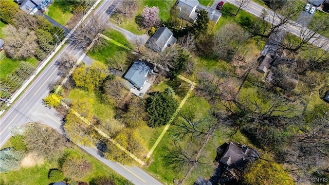 422 Salt Springs Rd, Manlius, NY 13066 - aerial view