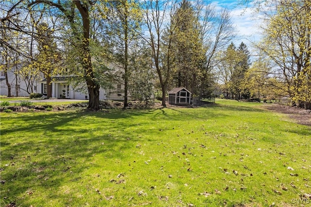 422 Salt Springs Rd, Manlius, NY 13066 - view of yard with a shed and an outbuilding