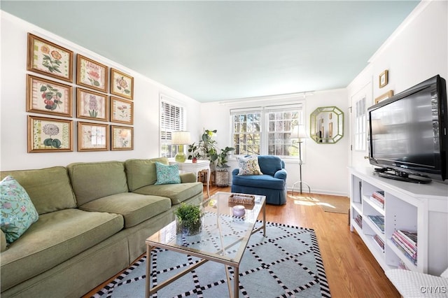 422 Salt Springs Rd, Manlius, NY 13066 - living area featuring baseboards and light wood-style floors