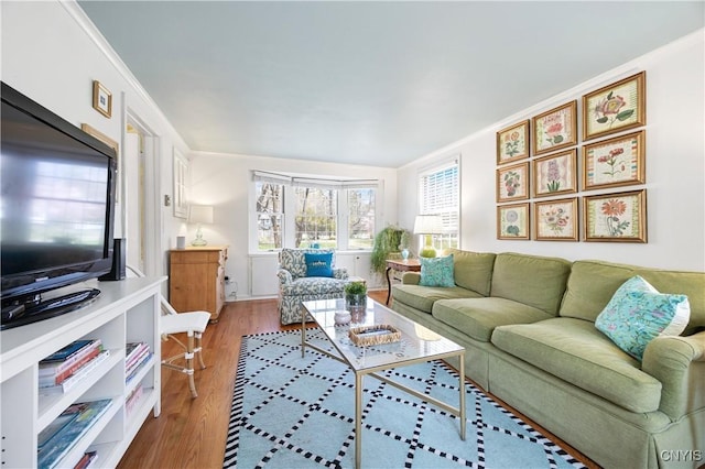 422 Salt Springs Rd, Manlius, NY 13066 - living area with wood finished floors
