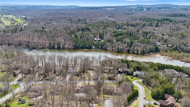 7266 Wakefield Dr, Manlius, NY 13066 - aerial view with a wooded view and a water view
