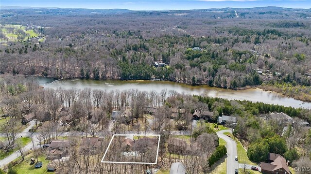 7266 Wakefield Dr, Manlius, NY 13066 - birds eye view of property featuring a water view and a view of trees