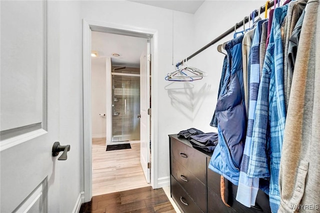 walk in closet featuring dark wood-style floors