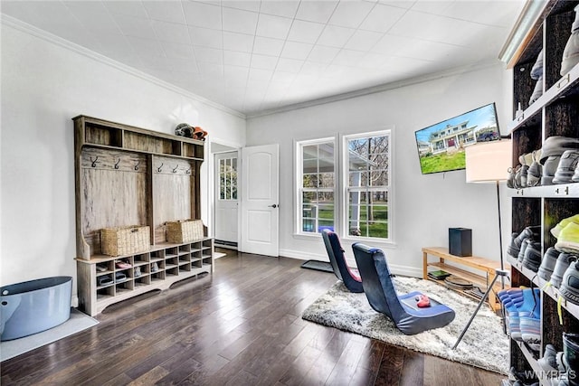 interior space with crown molding and wood-type flooring