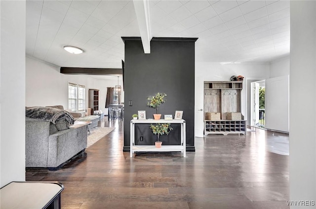 living area featuring crown molding, plenty of natural light, and wood finished floors