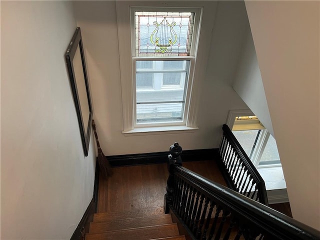 stairway featuring a wealth of natural light and hardwood / wood-style flooring