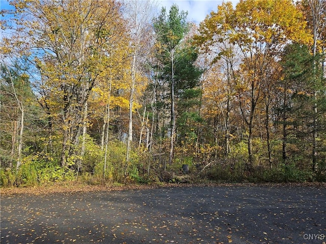 Birch, Clayton, NY 13624 - photo 2