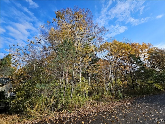 Birch, Clayton, NY 13624 - photo 6