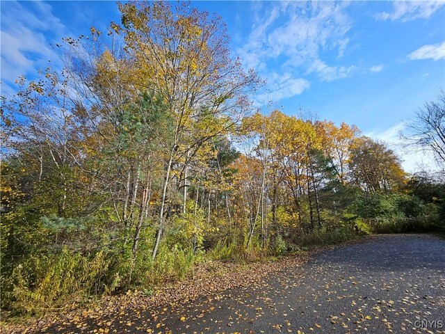 Birch, Clayton, NY 13624 - photo 7