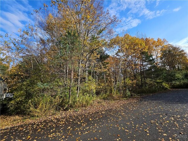 Birch, Clayton, NY 13624 - photo 8