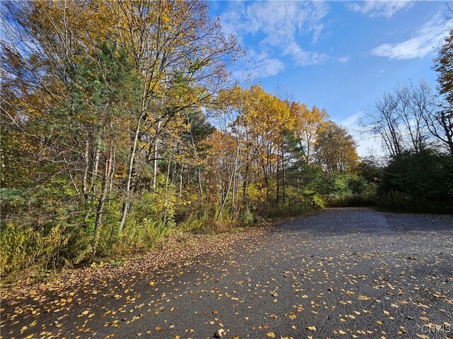 Birch, Clayton, NY 13624 - photo 10