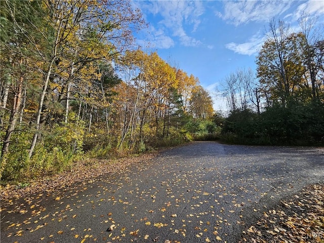 Birch, Clayton, NY 13624 - photo 11