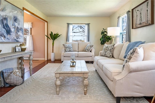 living room with baseboards, wood finished floors, and a healthy amount of sunlight