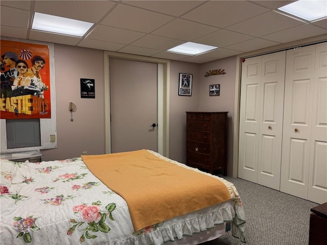 5876 Clearview Ln, Alfred, NY 14803 - bedroom featuring a closet, carpet, and a paneled ceiling