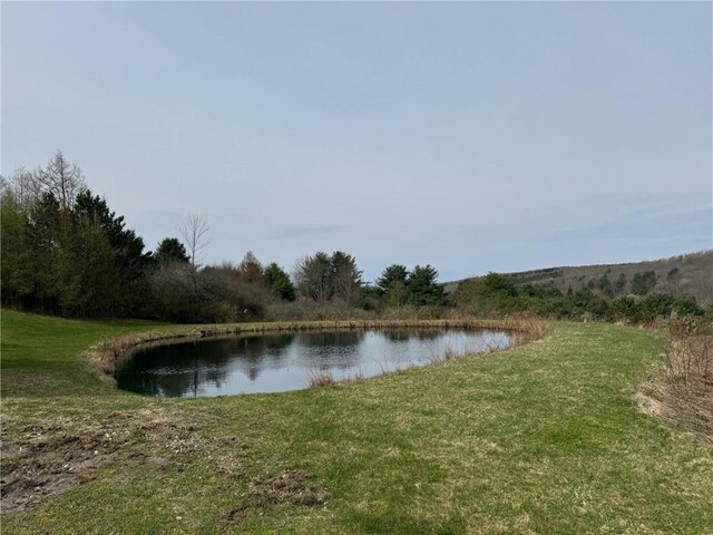 5876 Clearview Ln, Alfred, NY 14803 - water view