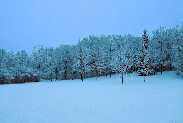 5876 Clearview Ln, Alfred, NY 14803 - snowy yard with a view of trees