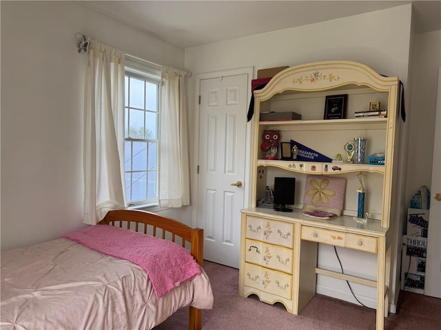 5876 Clearview Ln, Alfred, NY 14803 - bedroom with carpet flooring