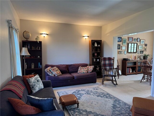 5876 Clearview Ln, Alfred, NY 14803 - living room with light colored carpet