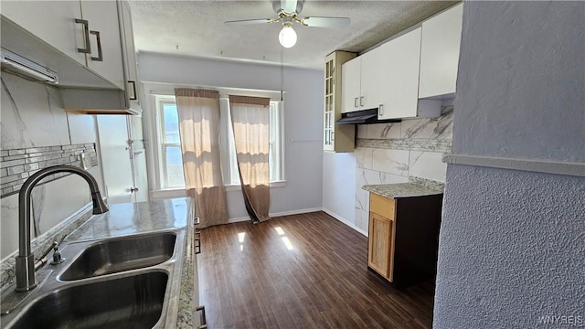 kitchen featuring a sink, decorative backsplash, under cabinet range hood, dark wood-type flooring, and a ceiling fan