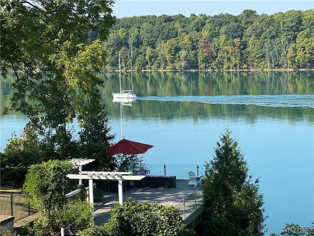 water view with a forest view