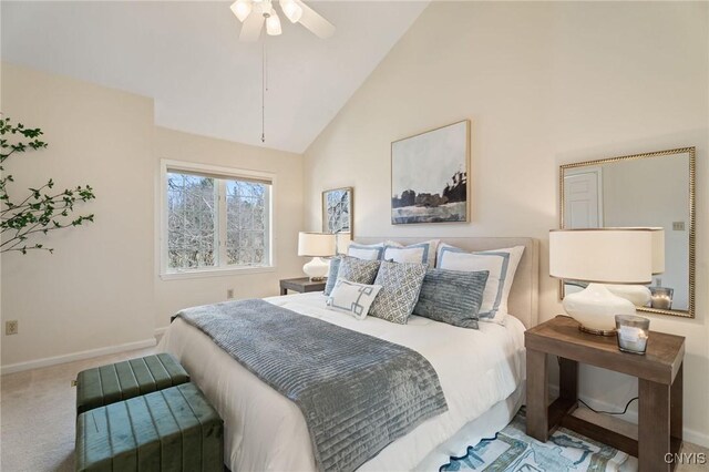 28 Willowbrook Dr, Martin Point Townhouse Owasco, NY 13021 - photo 29