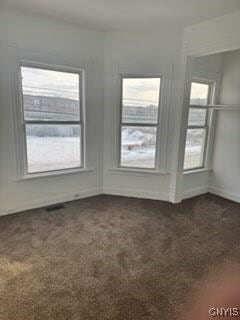 827-29 Burnet Ave Unit 29, Syracuse, NY 13203 - unfurnished room with dark carpet