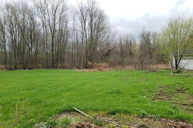 24 Railroad St, Elbridge, NY 13080 - view of yard