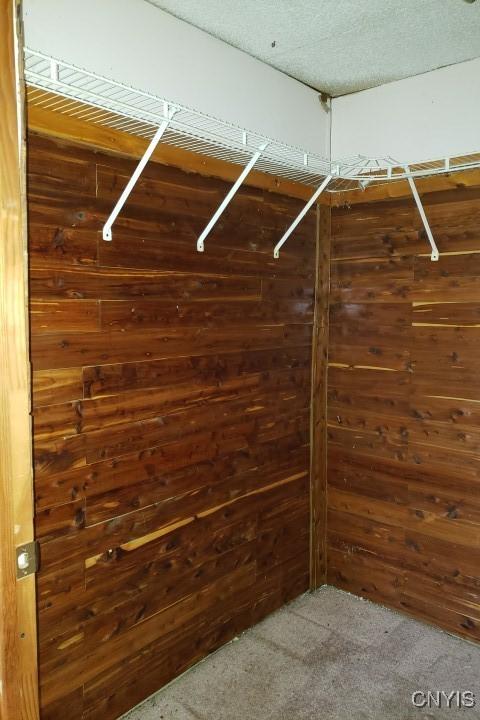 24 Railroad St, Elbridge, NY 13080 - spacious closet featuring carpet