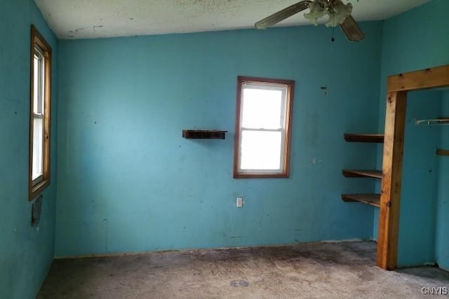 24 Railroad St, Elbridge, NY 13080 - unfurnished bedroom featuring carpet flooring and multiple windows