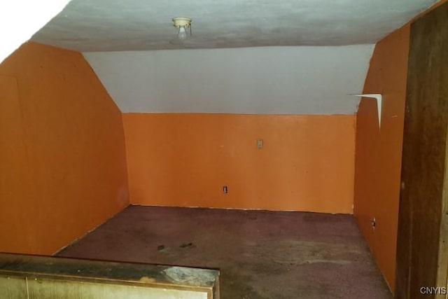 24 Railroad St, Elbridge, NY 13080 - additional living space featuring carpet flooring and vaulted ceiling