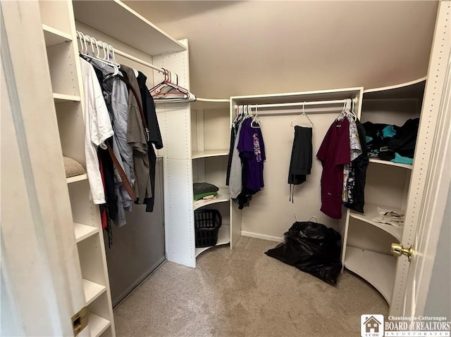 spacious closet with carpet flooring