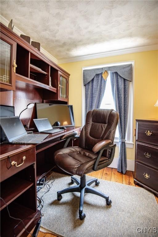 office featuring wood finished floors and crown molding