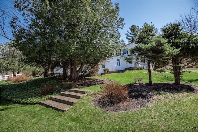 view of yard