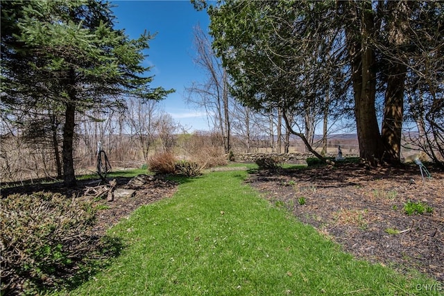 view of yard