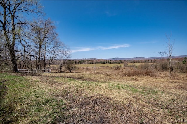 view of yard with a rural view