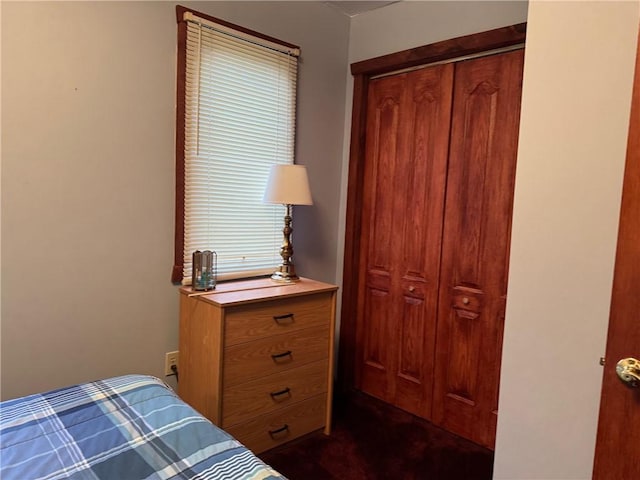 bedroom with a closet and dark carpet