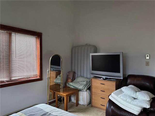bedroom featuring carpet flooring