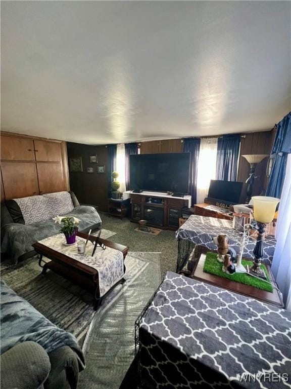 view of carpeted living area