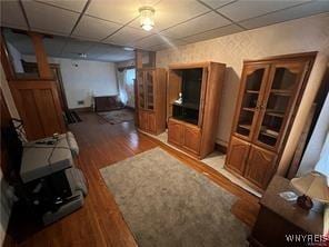 living area featuring a drop ceiling and wood finished floors