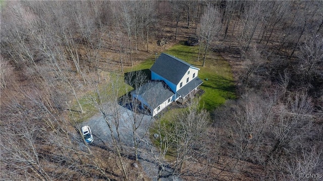 drone / aerial view