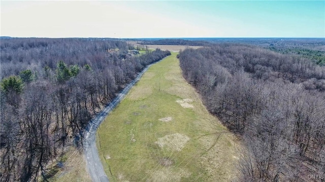 drone / aerial view featuring a rural view and a forest view