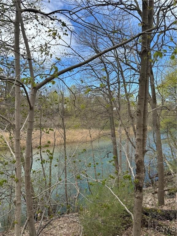 7381 Owasco Rd, Owasco, NY 13021 - photo 5