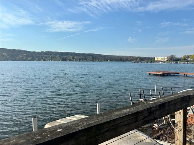 dock area with a water view