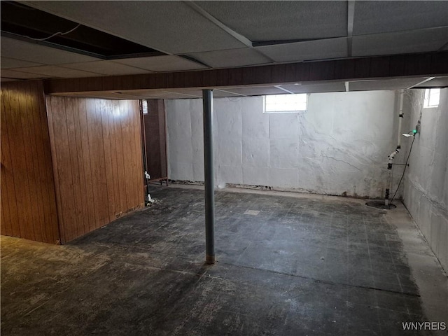 below grade area featuring wooden walls