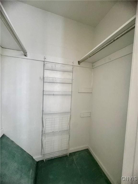 4969 Look Kinney Cir, Clay, NY 13088 - walk in closet with carpet floors