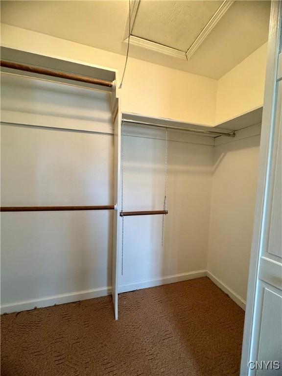 4969 Look Kinney Cir, Clay, NY 13088 - walk in closet with carpet floors