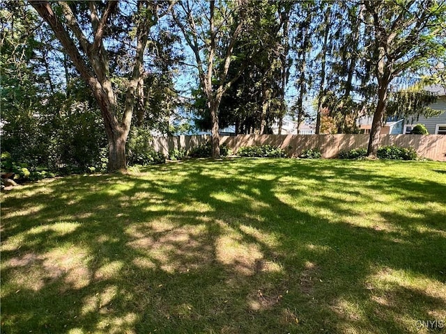4969 Look Kinney Cir, Clay, NY 13088 - view of yard featuring fence