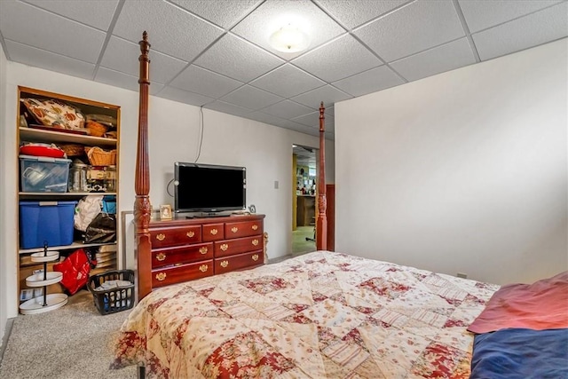 394 Nersesian Rd, Otsego, NY 13348 - carpeted bedroom featuring a paneled ceiling