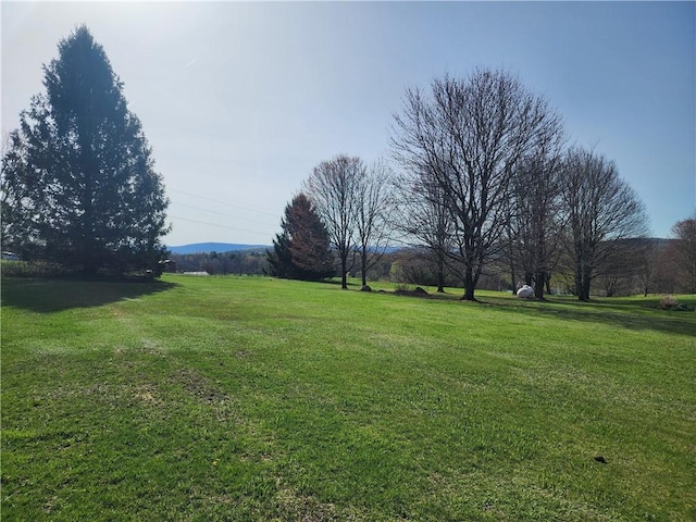 394 Nersesian Rd, Otsego, NY 13348 - view of yard featuring a rural view